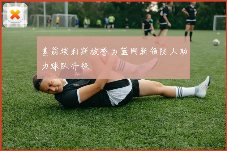 基翁埃利斯被誉为篮网新领防人助力球队升级